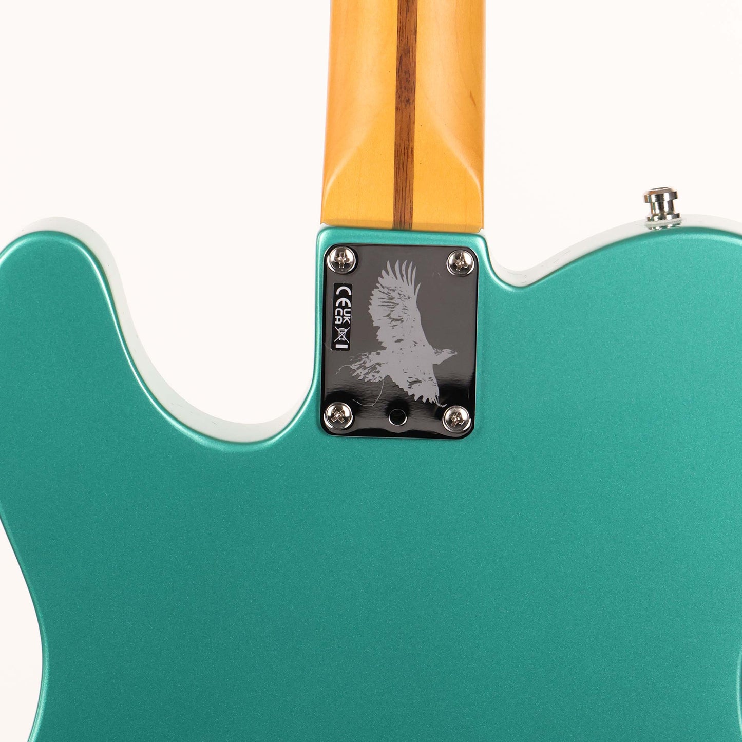Fender Susan Tedeschi Telecaster Aged Caribbean Mist