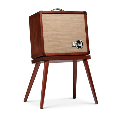 Circa 74 2-in-1 Acoustic Guitar and Vocal Amplifier