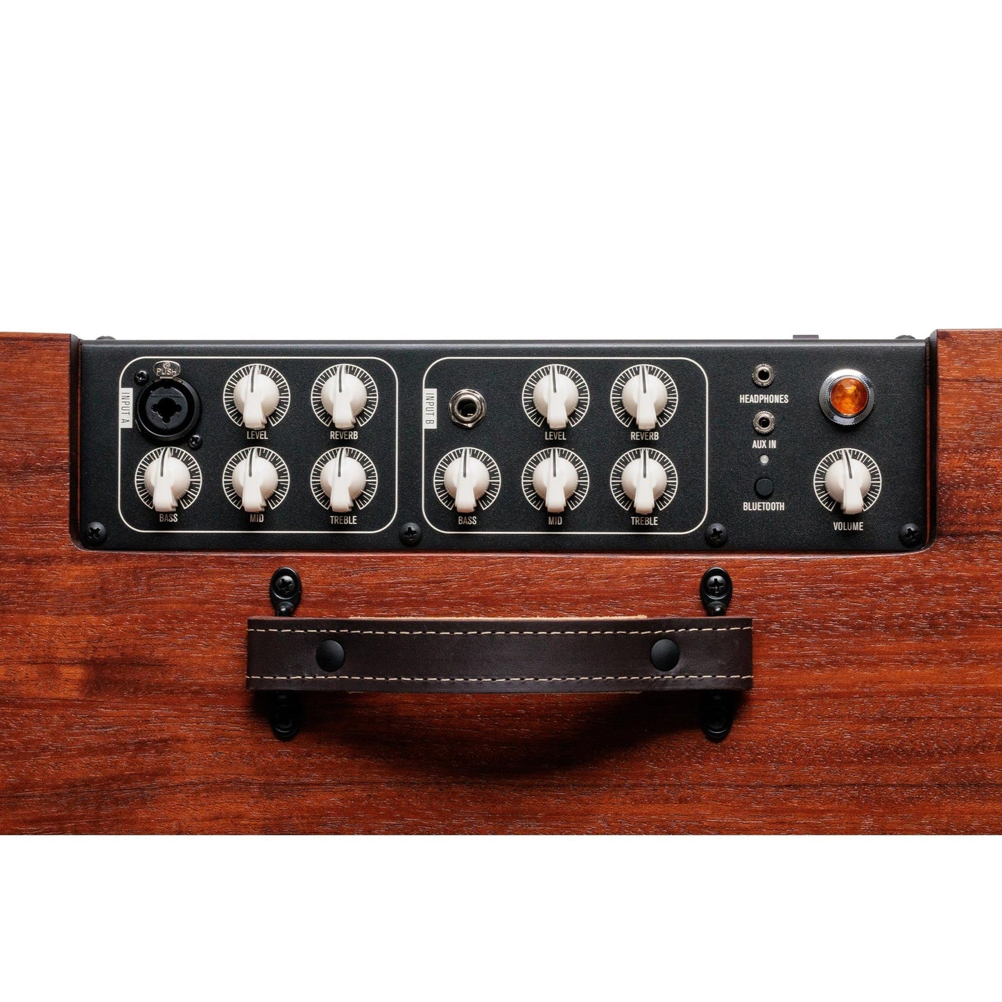 Circa 74 2-in-1 Acoustic Guitar and Vocal Amplifier